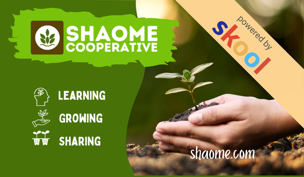 Shaome Skool | Shaome Cooperative |  Shaome.com